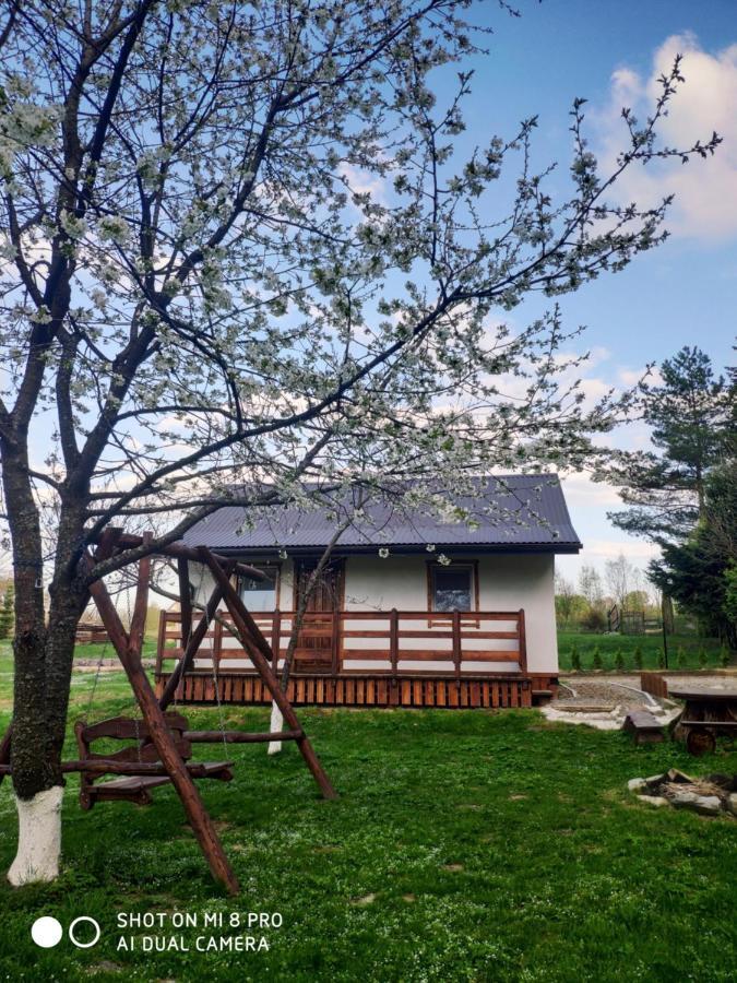 Wierchowyna Βίλα Uherce Mineralne Εξωτερικό φωτογραφία